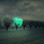 feature_image_template40-620x400