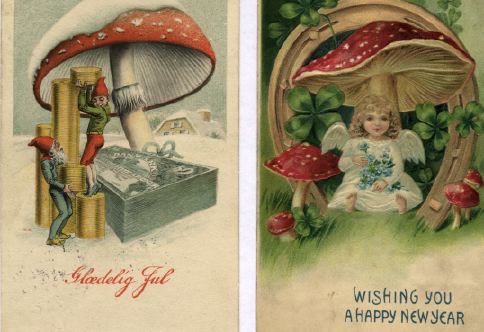 fly-agaric-new-year1